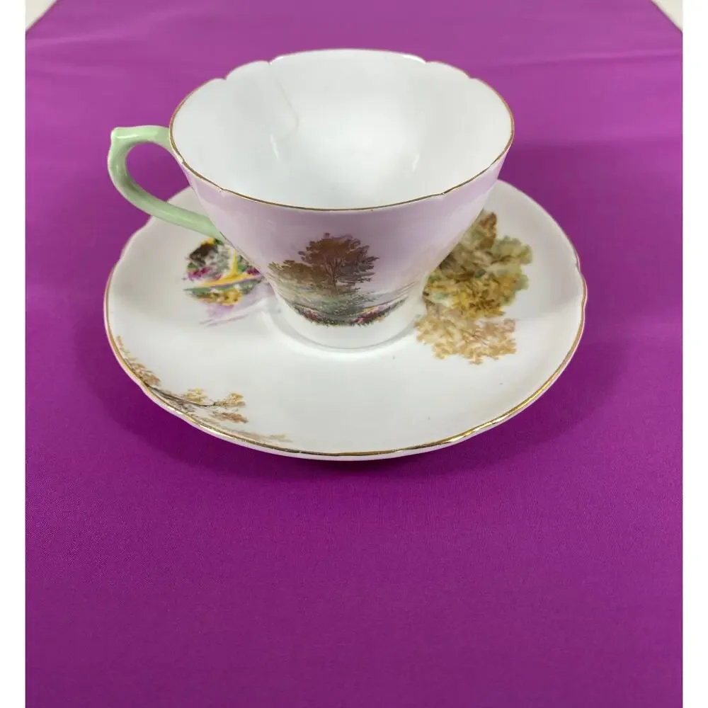 Vintage Shelley England Fine Bone China Heather Landscape 13419 Cup Saucer Set